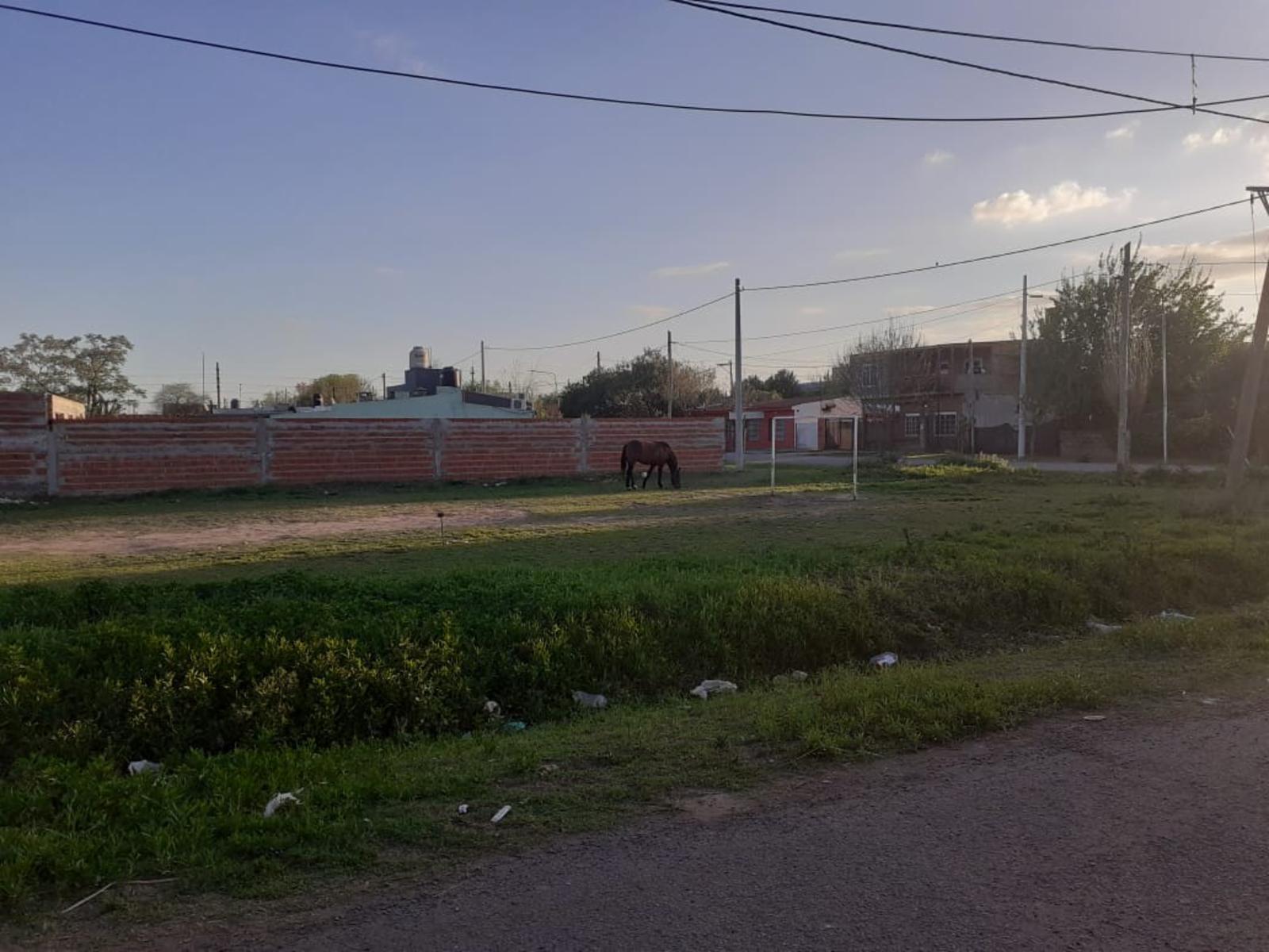 lotes en san lorenzo 9 de frente por 20 me de fondo, con escrituración inmediata. — foto 4