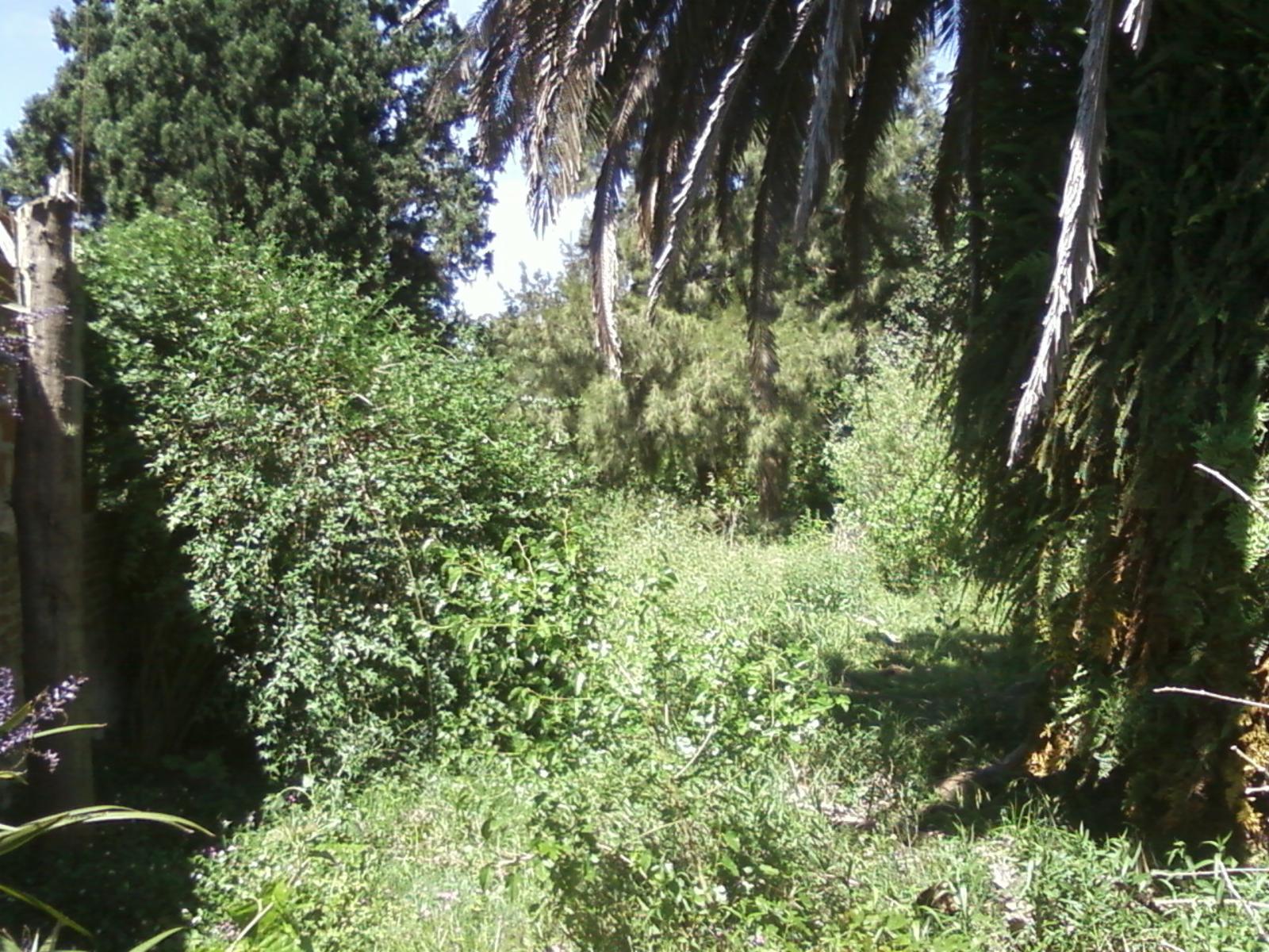 Lote de terreno a 7 cuadras de estación Glew Este sobre asfalto - 7