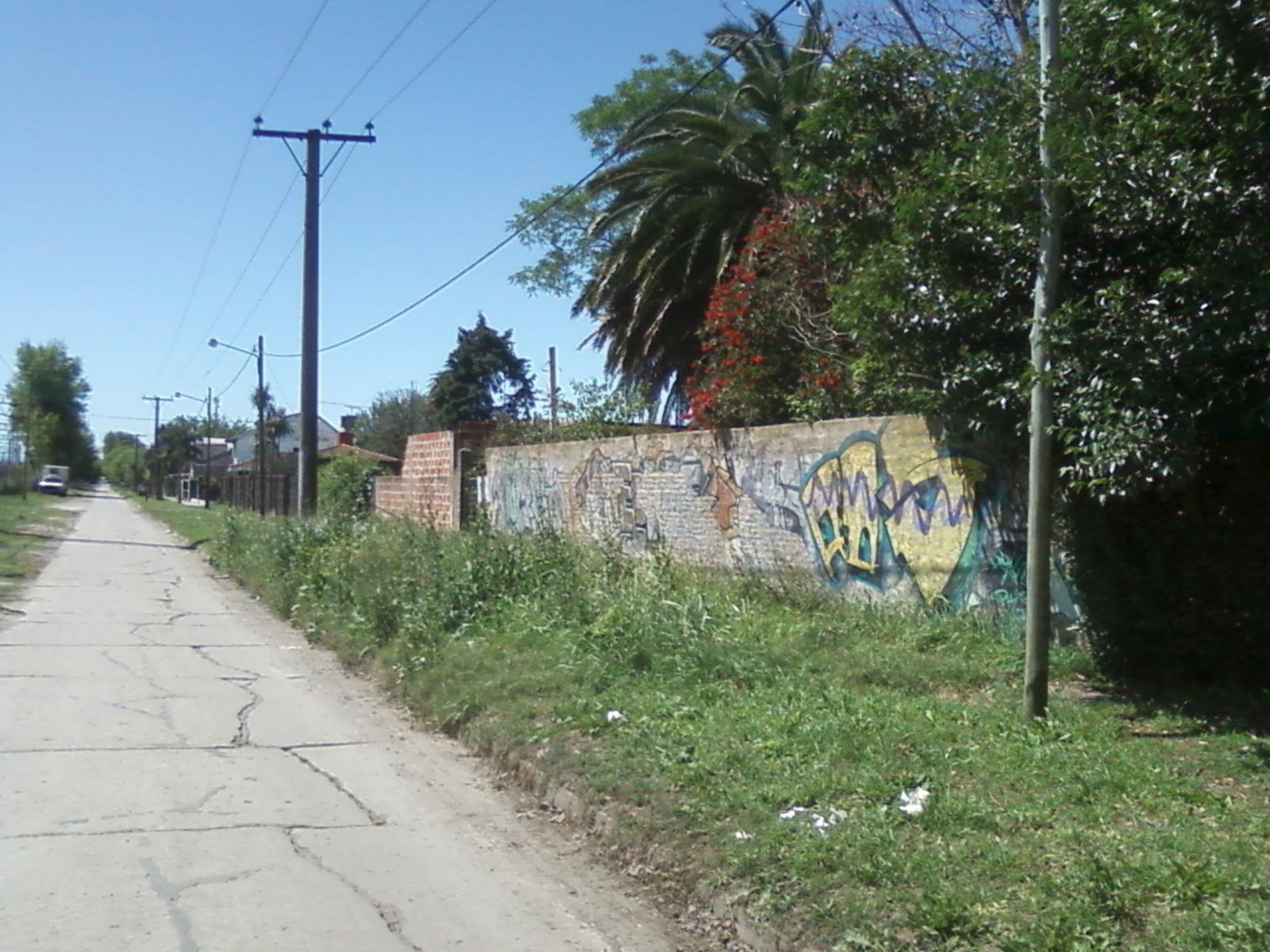 Lote de terreno a 7 cuadras de estación Glew Este sobre asfalto - 8