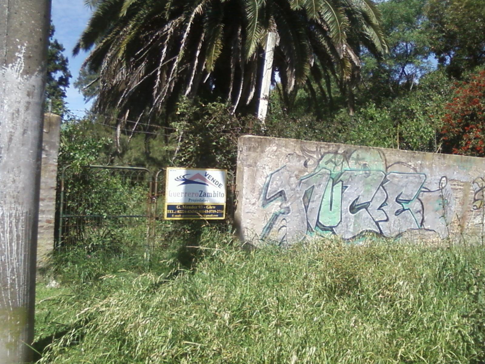 Lote de terreno a 7 cuadras de estación Glew Este sobre asfalto - 10