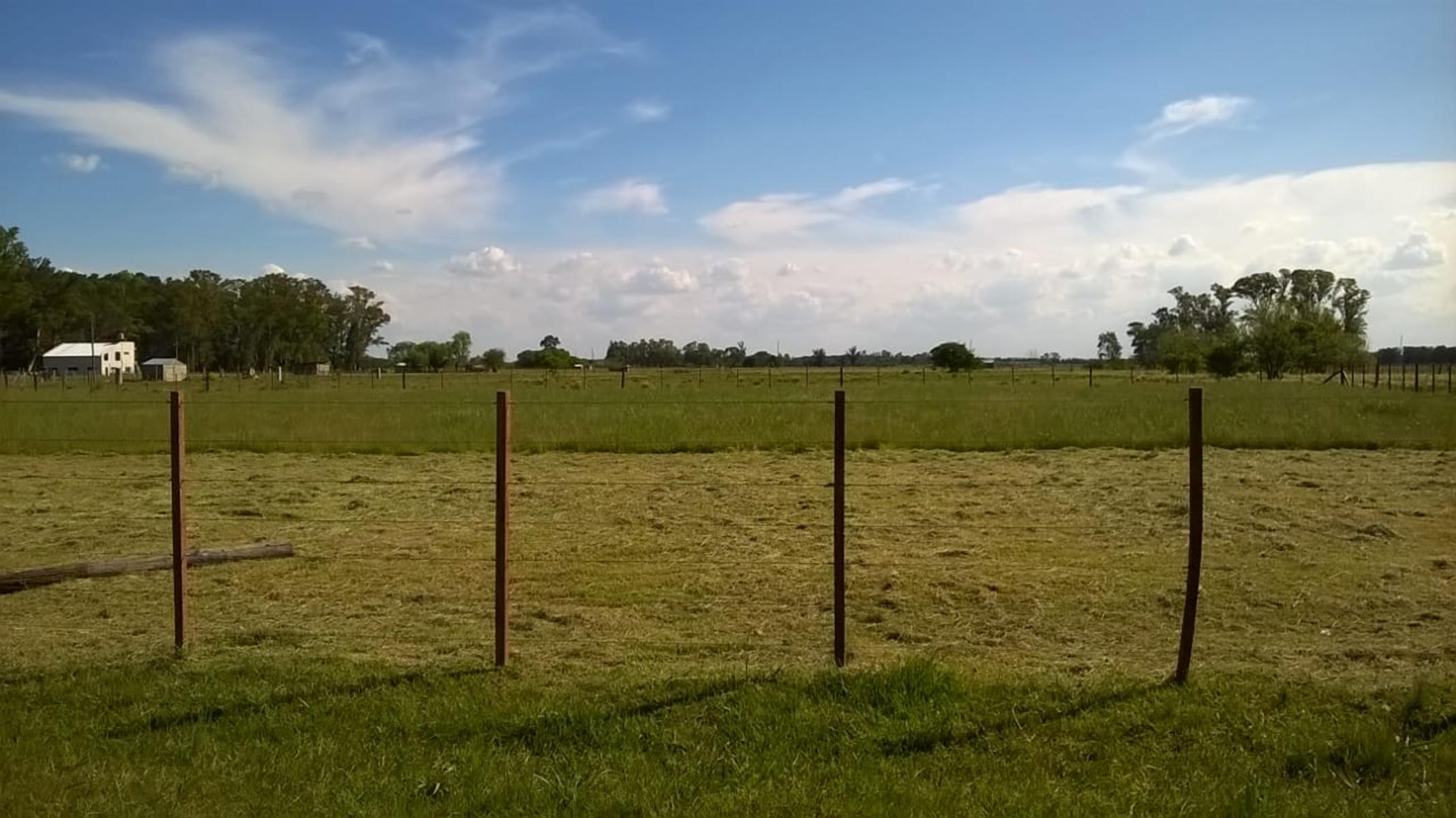 LOTE DE TERRENO EN ZONA DE DOMSELAAR, partido de San Vicente — foto 2