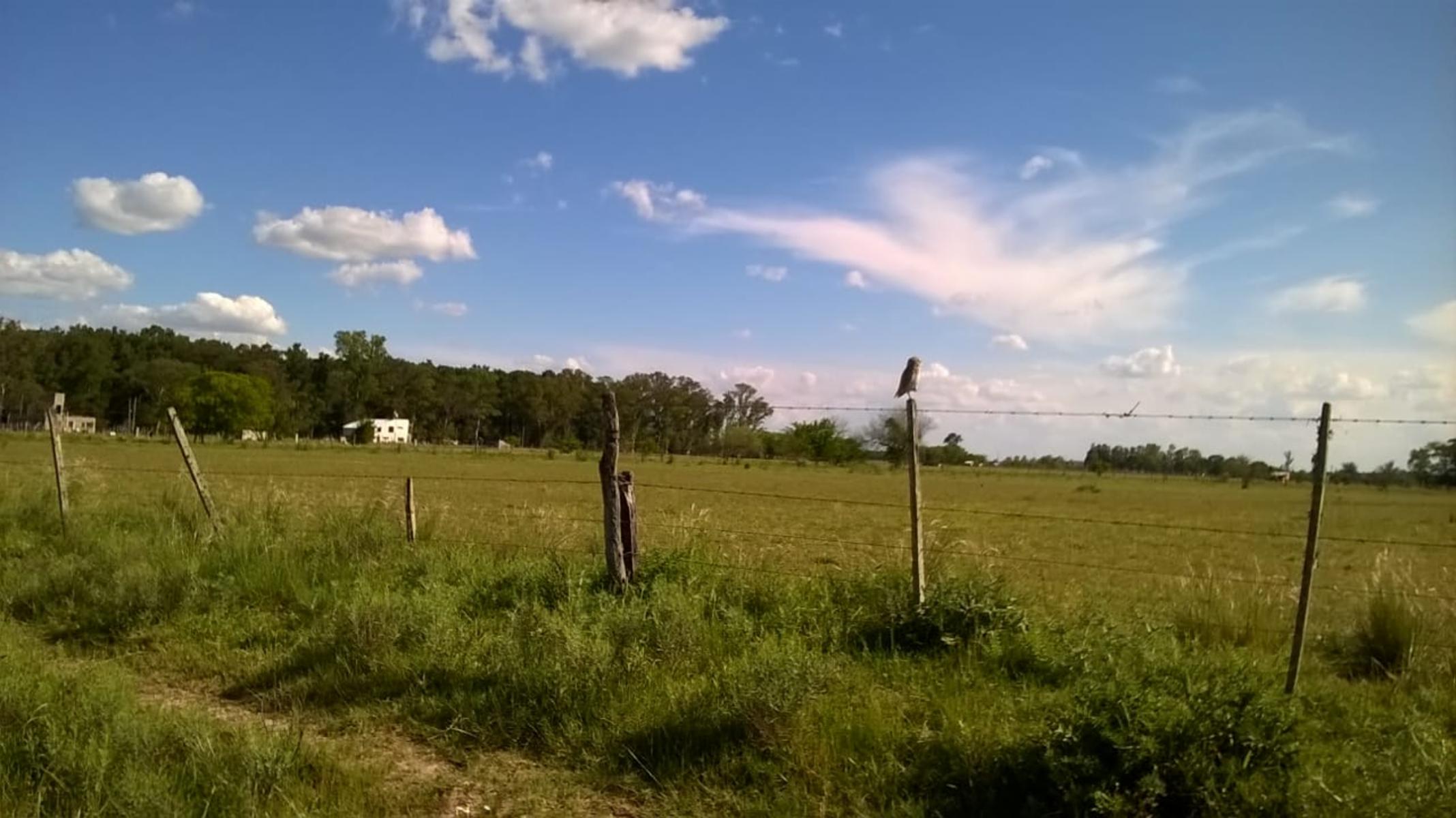 LOTE DE TERRENO EN ZONA DE DOMSELAAR, partido de San Vicente — foto 3
