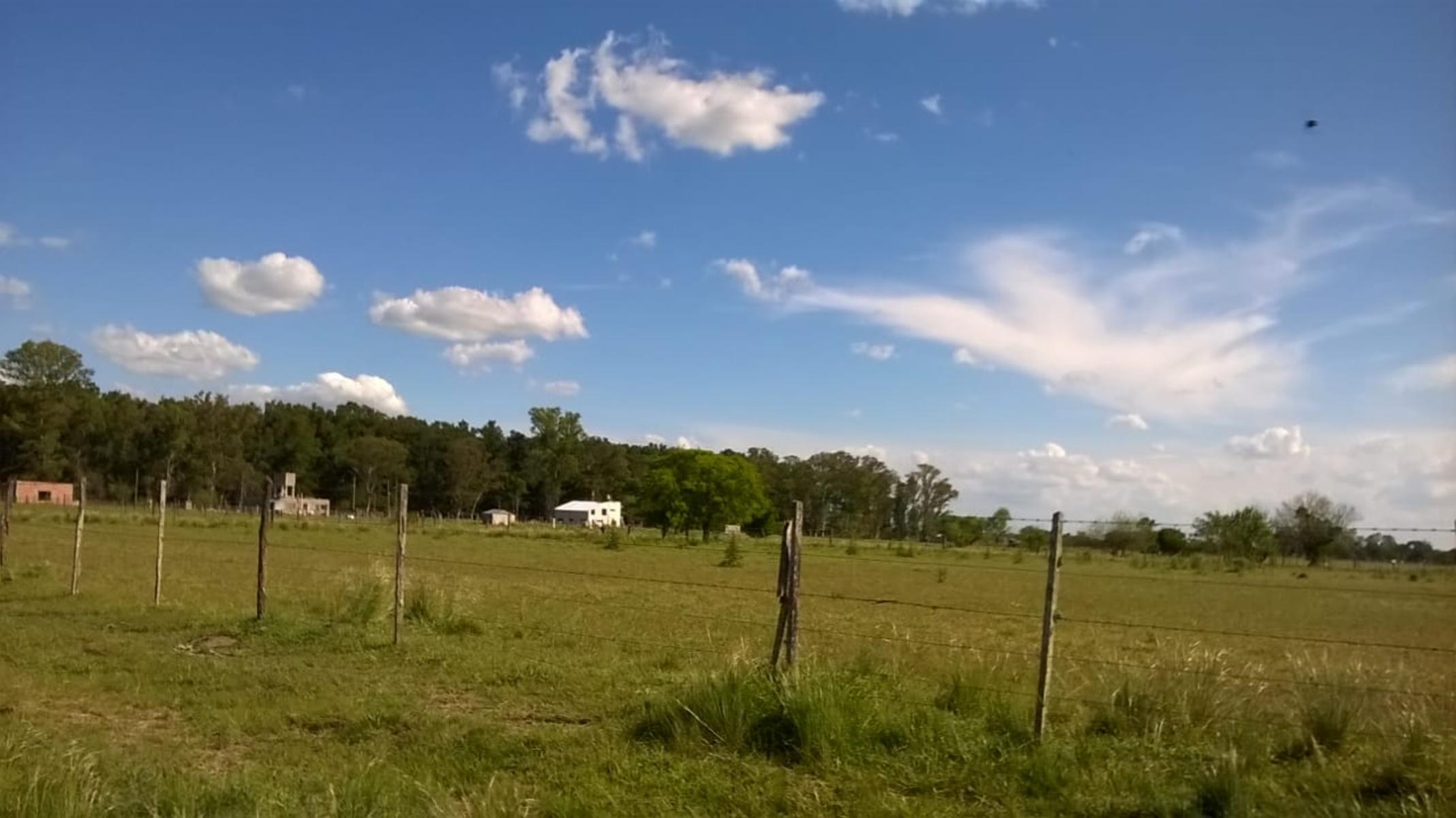 LOTE DE TERRENO EN ZONA DE DOMSELAAR, partido de San Vicente — foto 5