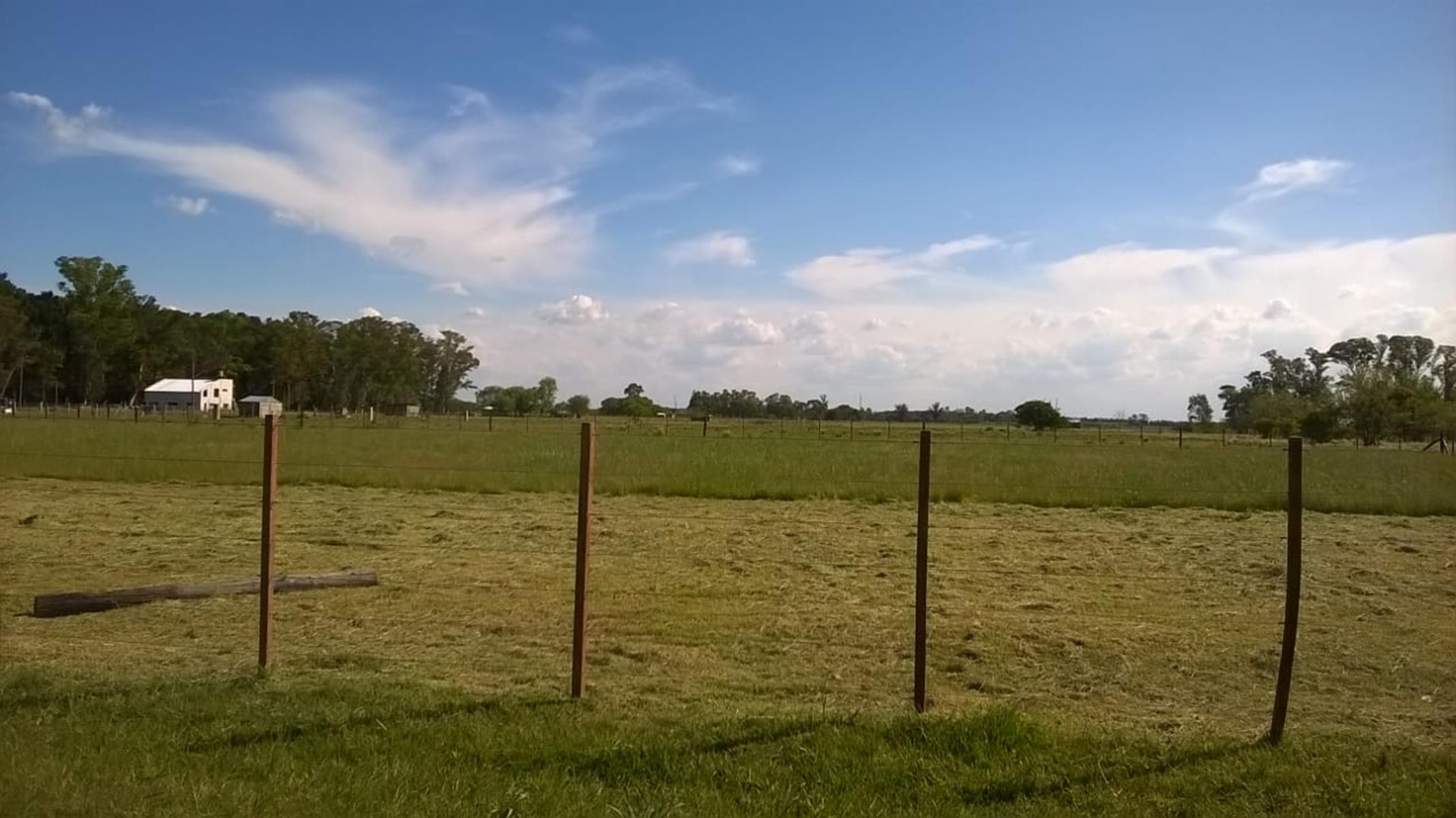 LOTE DE TERRENO EN ZONA DE DOMSELAAR, partido de San Vicente — foto 6