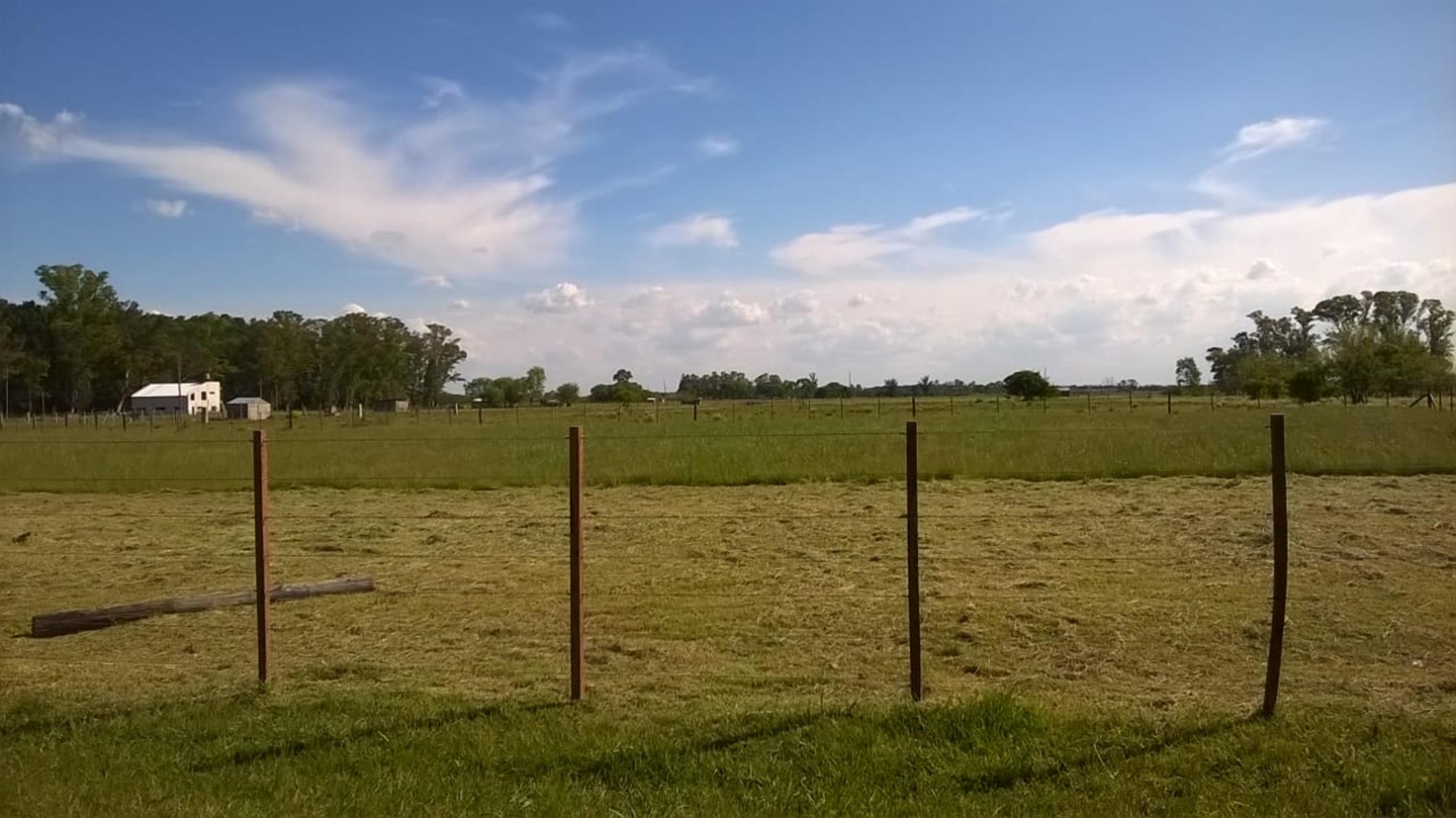 LOTE DE TERRENO EN ZONA DE DOMSELAAR, partido de San Vicente — foto 7