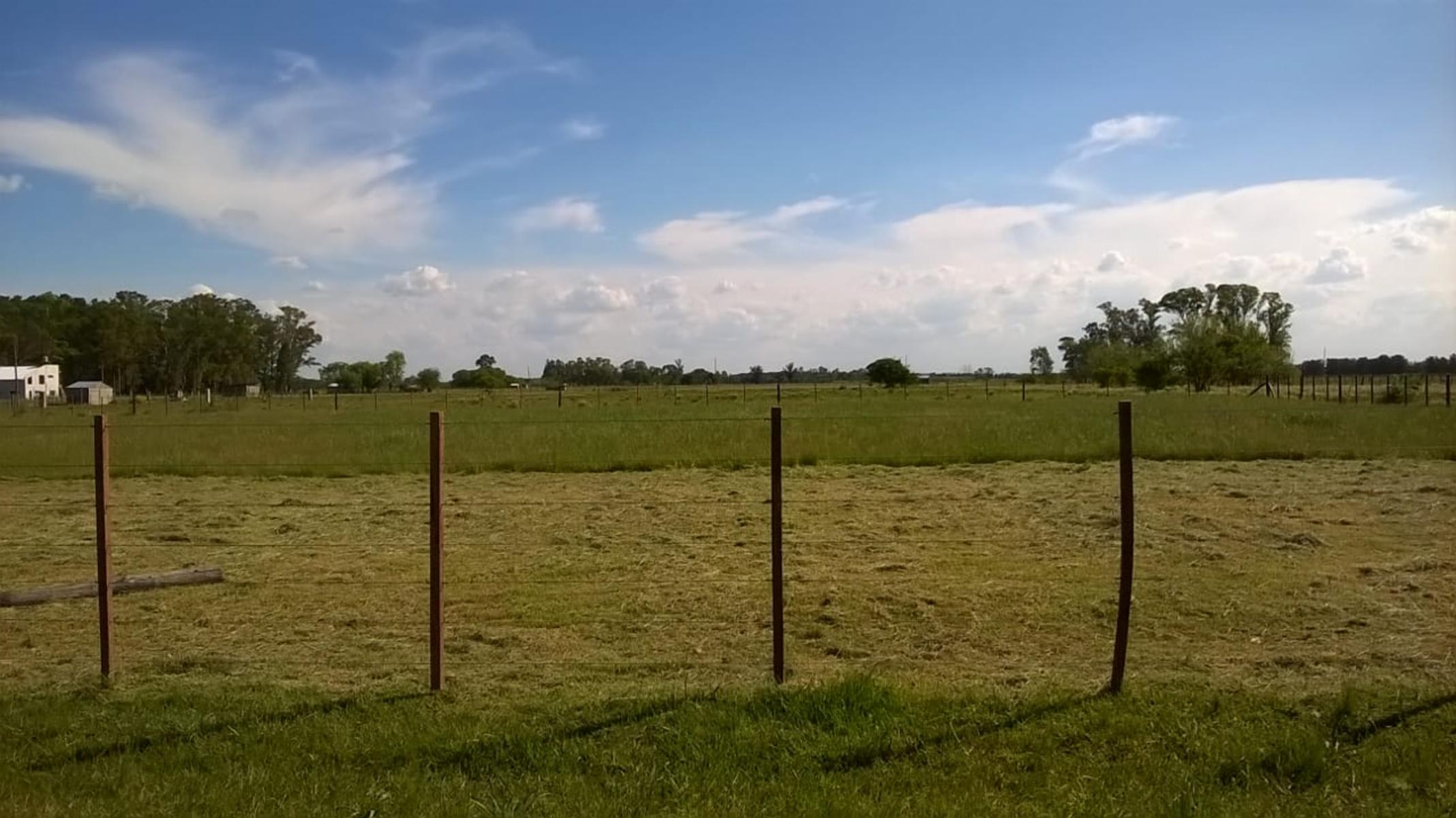 LOTE DE TERRENO EN ZONA DE DOMSELAAR, partido de San Vicente — foto 8