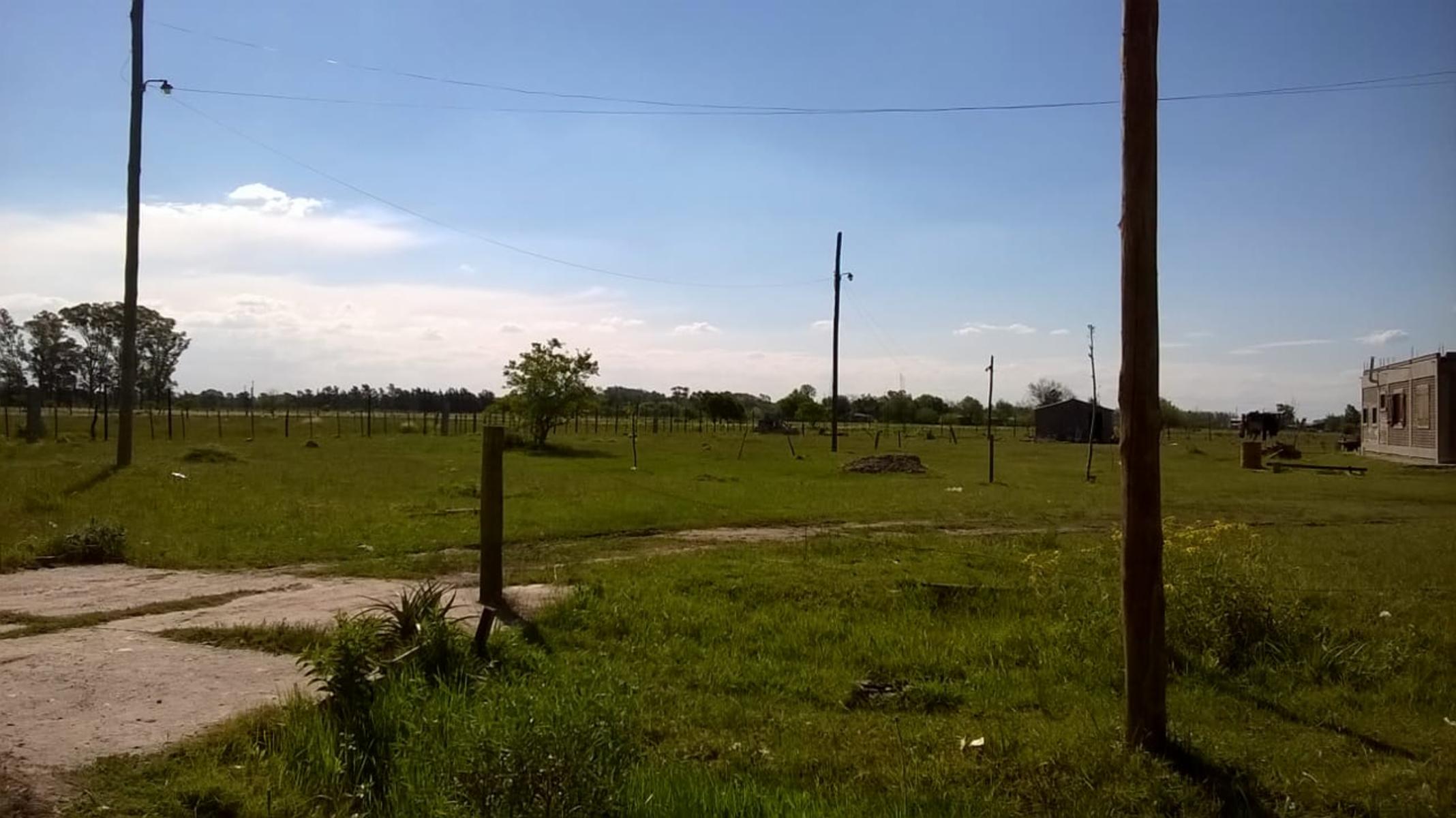 LOTE DE TERRENO EN ZONA DE DOMSELAAR, partido de San Vicente — foto 9