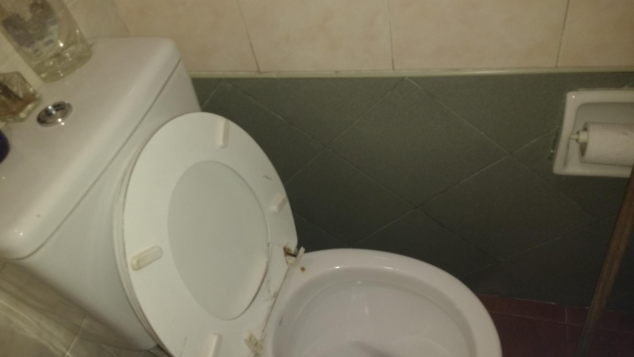 Dos Casas y Dos Locales Comerciales en buena zona comercial de Burzaco — foto 13