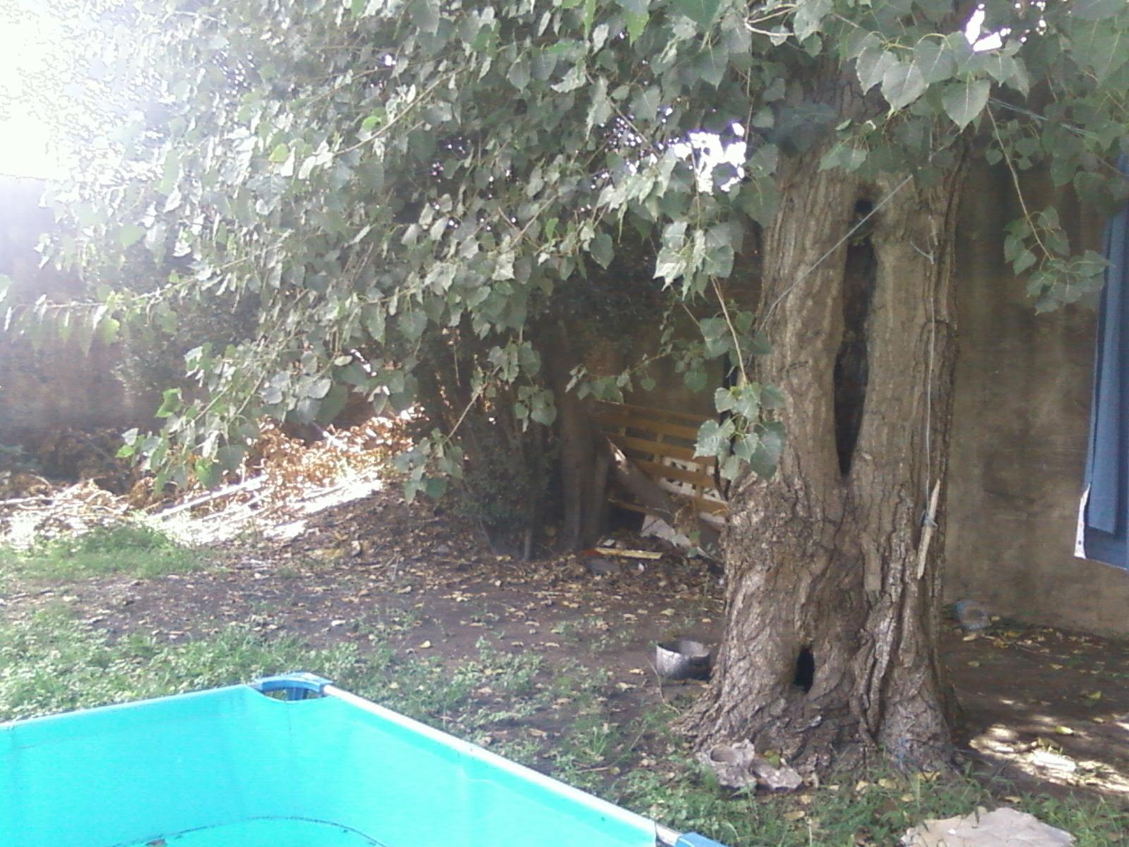Casa Americana a refaccionar en Glew con buena ubicación y escritura. — foto 15