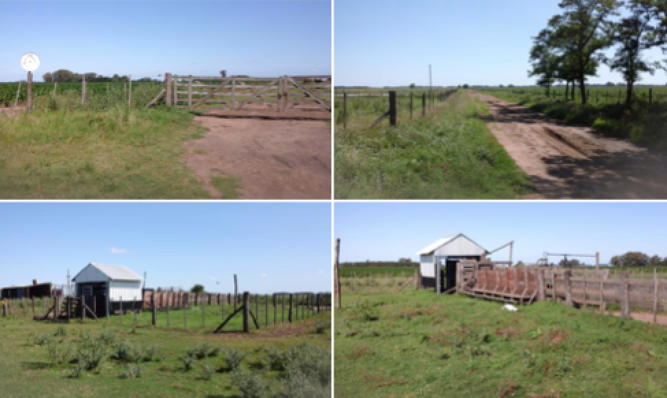 Campo Agricola Ganadero - 1