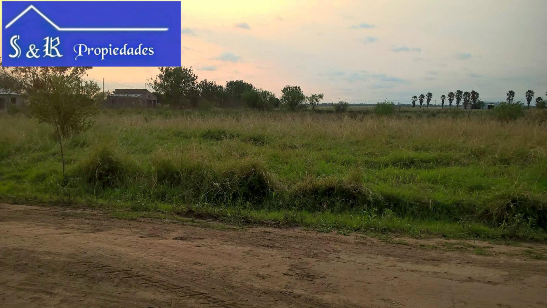 s vnd trrns $500 l mt. cudrd - 3