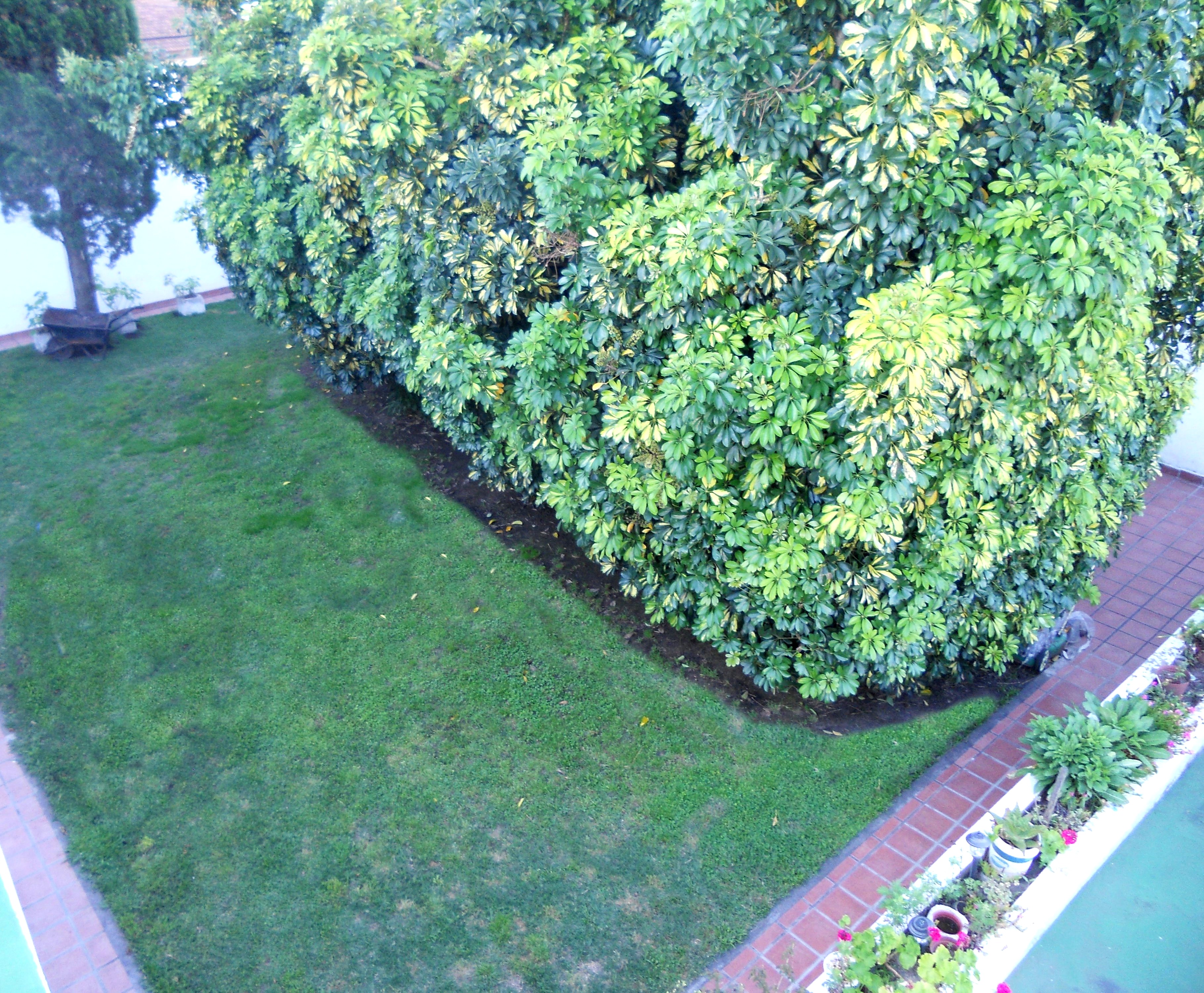 Casa de 3 dormitorios con pileta, entre caminos — foto 8