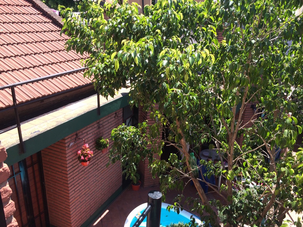 Casa de 2 dormitorios con patio — foto 11