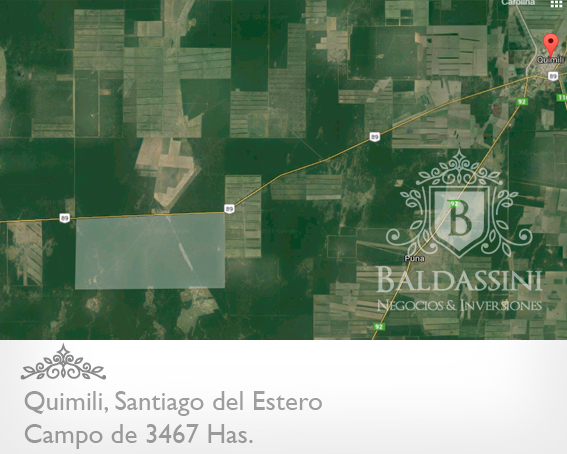 SE VENDE 1400 HECTAREAS SOBRE CAMPO DE 3467 HECTÁREAS EN QUIMILI. SOBRE RUTA 89 - 1