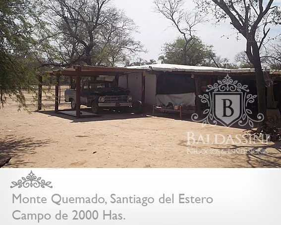 CAMPO DE 2000 HECTÁREAS EN MONTE QUEMADO - COPO - SANTIAGO DEL ESTERO CON GRAN APTITUD MIXTA - 2