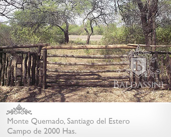 CAMPO DE 2000 HECTÁREAS EN MONTE QUEMADO - COPO - SANTIAGO DEL ESTERO CON GRAN APTITUD MIXTA - 3