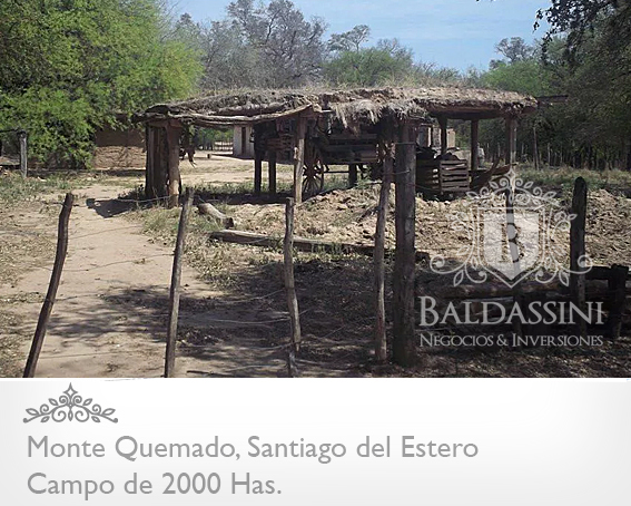 CAMPO DE 2000 HECTÁREAS EN MONTE QUEMADO - COPO - SANTIAGO DEL ESTERO CON GRAN APTITUD MIXTA - 4