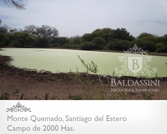 CAMPO DE 2000 HECTÁREAS EN MONTE QUEMADO - COPO - SANTIAGO DEL ESTERO CON GRAN APTITUD MIXTA - 6