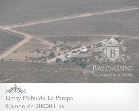 28000 HECTÁREAS EN LIMAY MAHUIDA - LA PAMPA - CAMPO GANADERO ALAMBRADO PARA COTO DE CAZA O GANADERO - JAULA DE 2 HRAS. DE JABALÍES. - 2