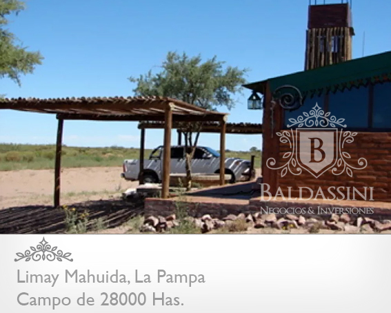 28000 HECTÁREAS EN LIMAY MAHUIDA - LA PAMPA - CAMPO GANADERO ALAMBRADO PARA COTO DE CAZA O GANADERO - JAULA DE 2 HRAS. DE JABALÍES. - 3