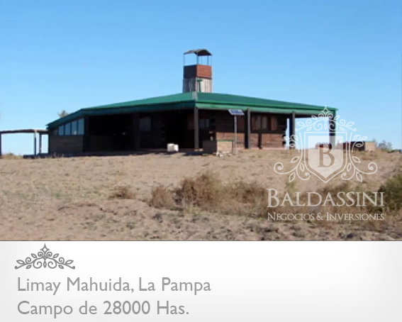 28000 HECTÁREAS EN LIMAY MAHUIDA - LA PAMPA - CAMPO GANADERO ALAMBRADO PARA COTO DE CAZA O GANADERO - JAULA DE 2 HRAS. DE JABALÍES. - 4