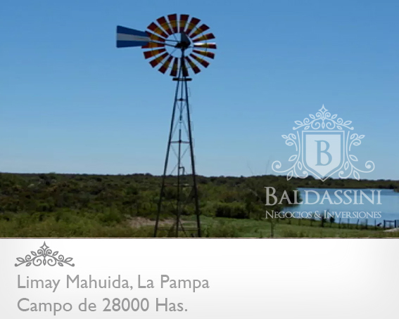 28000 HECTÁREAS EN LIMAY MAHUIDA - LA PAMPA - CAMPO GANADERO ALAMBRADO PARA COTO DE CAZA O GANADERO - JAULA DE 2 HRAS. DE JABALÍES. - 5