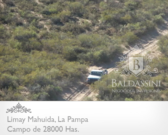 28000 HECTÁREAS EN LIMAY MAHUIDA - LA PAMPA - CAMPO GANADERO ALAMBRADO PARA COTO DE CAZA O GANADERO - JAULA DE 2 HRAS. DE JABALÍES. - 10