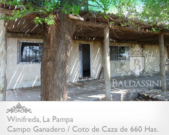 EXCELENTE CAMPO DE 660 HAS. GANADERO O COTO DE CAZA EN WINIFREDA - LA PAMPA - 5