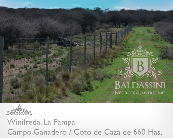 EXCELENTE CAMPO DE 660 HAS. GANADERO O COTO DE CAZA EN WINIFREDA - LA PAMPA - 6