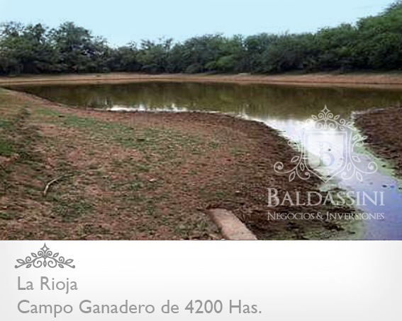 CAMPO GANADERO TOTALMENTE ALAMBRADO DE 4200 HAS. EN LA RIOJA. AGUA - CASA - 2