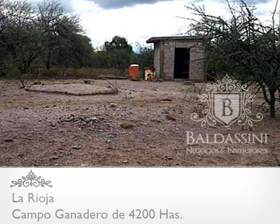 CAMPO GANADERO TOTALMENTE ALAMBRADO DE 4200 HAS. EN LA RIOJA. AGUA - CASA - 3