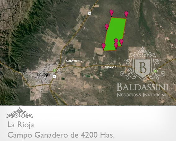 CAMPO GANADERO TOTALMENTE ALAMBRADO DE 4200 HAS. EN LA RIOJA. AGUA - CASA - 4