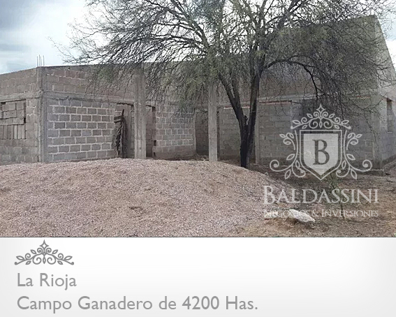 CAMPO GANADERO TOTALMENTE ALAMBRADO DE 4200 HAS. EN LA RIOJA. AGUA - CASA - 5