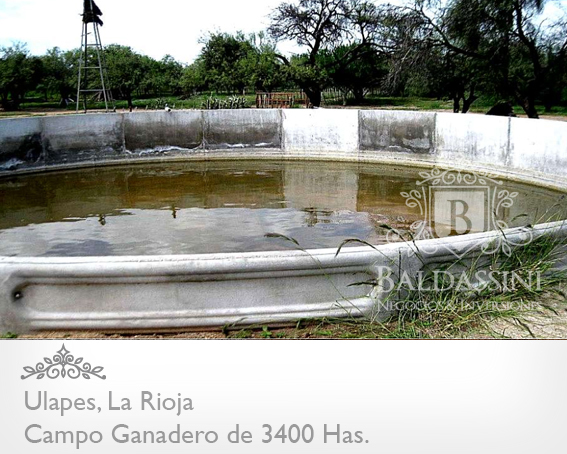 CAMPO GANADERO DE 3400 HECTÁREAS EN ULAPES - LA RIOJA A 7 KM DE LA RUTA 79 / BUENOS ACCESOS / CASA PRINCIPAL / AGUA EN REPRESA / ALAMBRADO - 2
