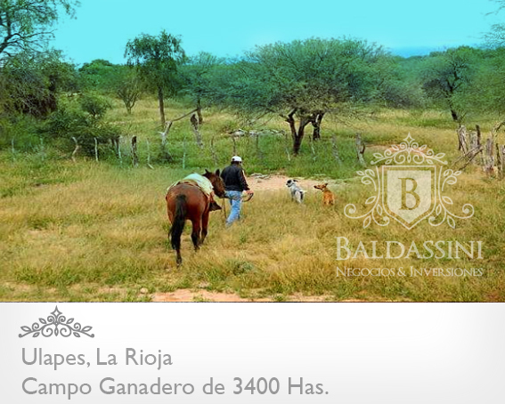 CAMPO GANADERO DE 3400 HECTÁREAS EN ULAPES - LA RIOJA A 7 KM DE LA RUTA 79 / BUENOS ACCESOS / CASA PRINCIPAL / AGUA EN REPRESA / ALAMBRADO - 3