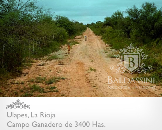 CAMPO GANADERO DE 3400 HECTÁREAS EN ULAPES - LA RIOJA A 7 KM DE LA RUTA 79 / BUENOS ACCESOS / CASA PRINCIPAL / AGUA EN REPRESA / ALAMBRADO - 4