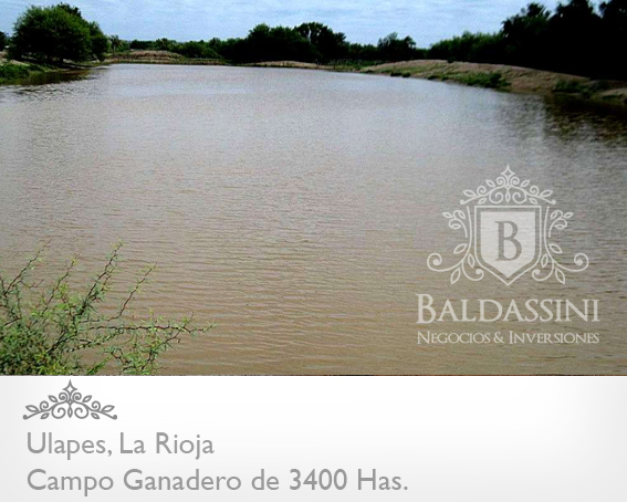 CAMPO GANADERO DE 3400 HECTÁREAS EN ULAPES - LA RIOJA A 7 KM DE LA RUTA 79 / BUENOS ACCESOS / CASA PRINCIPAL / AGUA EN REPRESA / ALAMBRADO - 5