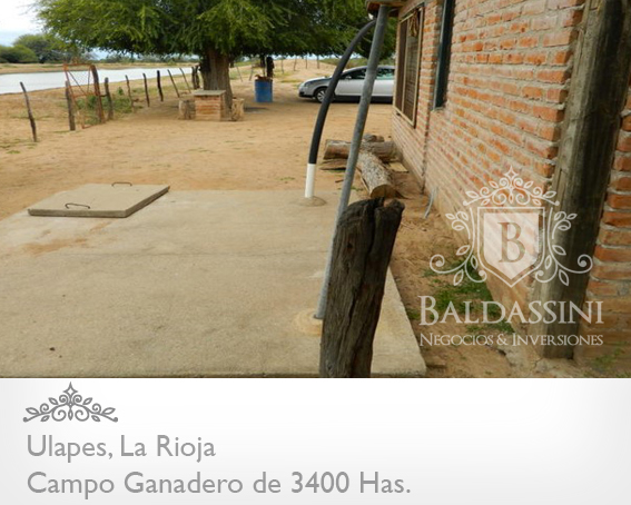 CAMPO GANADERO DE 3400 HECTÁREAS EN ULAPES - LA RIOJA A 7 KM DE LA RUTA 79 / BUENOS ACCESOS / CASA PRINCIPAL / AGUA EN REPRESA / ALAMBRADO - 7