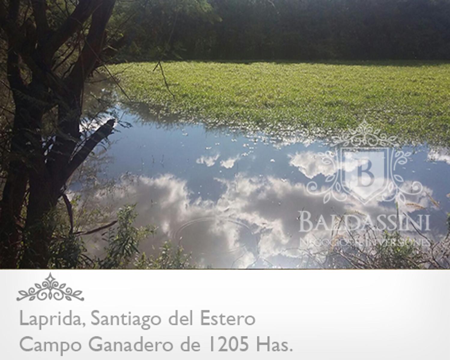 CAMPO GANADERO DE 1205 HAS EN LAPRIDA - SANTIAGO DEL ESTERO - DEPARTAMENTO DE CHOYA - TIENE PERFORACIÓN DE AGUA - ALAMBRADO - ESCRITURA - 2