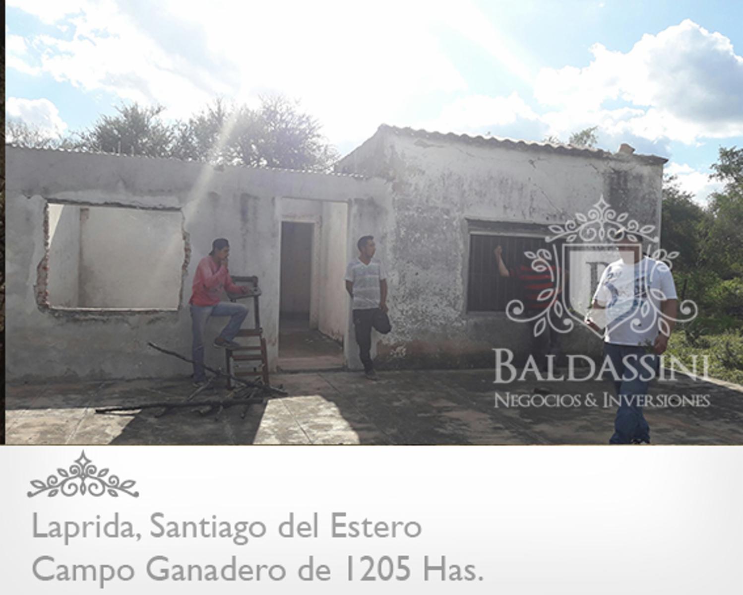 CAMPO GANADERO DE 1205 HAS EN LAPRIDA - SANTIAGO DEL ESTERO - DEPARTAMENTO DE CHOYA - TIENE PERFORACIÓN DE AGUA - ALAMBRADO - ESCRITURA - 3