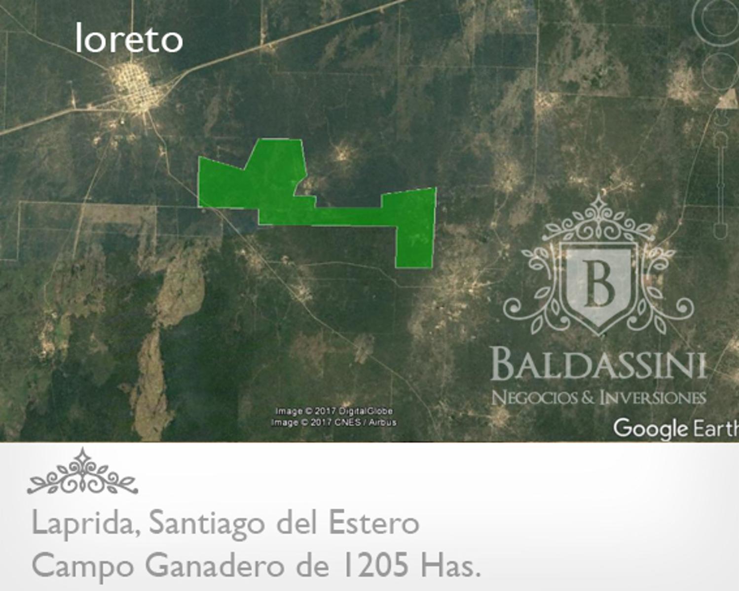 CAMPO GANADERO DE 1205 HAS EN LAPRIDA - SANTIAGO DEL ESTERO - DEPARTAMENTO DE CHOYA - TIENE PERFORACIÓN DE AGUA - ALAMBRADO - ESCRITURA - 4