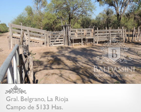 CAMPO GANADERO 5133 HAS. EN NEPES, GRAL. BELGRANO, LA RIOJA . CAMPO ARMADO. SE VENDE A TRANQUERA CERRADA. - 1