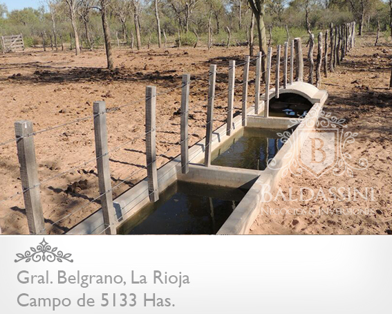 CAMPO GANADERO 5133 HAS. EN NEPES, GRAL. BELGRANO, LA RIOJA . CAMPO ARMADO. SE VENDE A TRANQUERA CERRADA. - 2