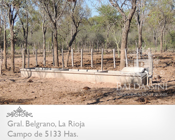 CAMPO GANADERO 5133 HAS. EN NEPES, GRAL. BELGRANO, LA RIOJA . CAMPO ARMADO. SE VENDE A TRANQUERA CERRADA. - 3