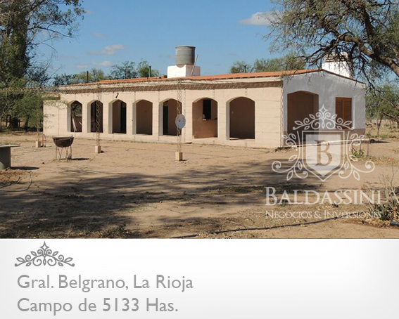 CAMPO GANADERO 5133 HAS. EN NEPES, GRAL. BELGRANO, LA RIOJA . CAMPO ARMADO. SE VENDE A TRANQUERA CERRADA. - 4