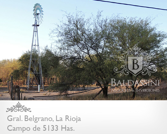 CAMPO GANADERO 5133 HAS. EN NEPES, GRAL. BELGRANO, LA RIOJA . CAMPO ARMADO. SE VENDE A TRANQUERA CERRADA. - 5