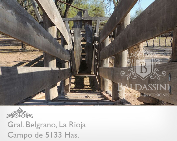 CAMPO GANADERO 5133 HAS. EN NEPES, GRAL. BELGRANO, LA RIOJA . CAMPO ARMADO. SE VENDE A TRANQUERA CERRADA. - 6