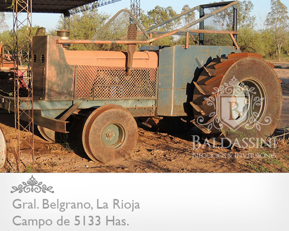 CAMPO GANADERO 5133 HAS. EN NEPES, GRAL. BELGRANO, LA RIOJA . CAMPO ARMADO. SE VENDE A TRANQUERA CERRADA. - 7