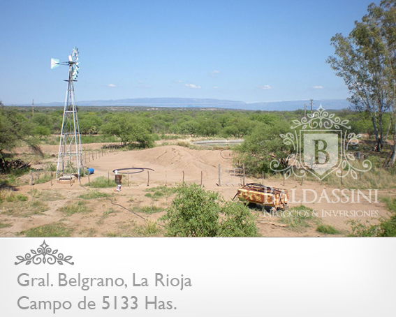 CAMPO GANADERO 5133 HAS. EN NEPES, GRAL. BELGRANO, LA RIOJA . CAMPO ARMADO. SE VENDE A TRANQUERA CERRADA. - 8