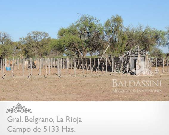 CAMPO GANADERO 5133 HAS. EN NEPES, GRAL. BELGRANO, LA RIOJA . CAMPO ARMADO. SE VENDE A TRANQUERA CERRADA. - 9